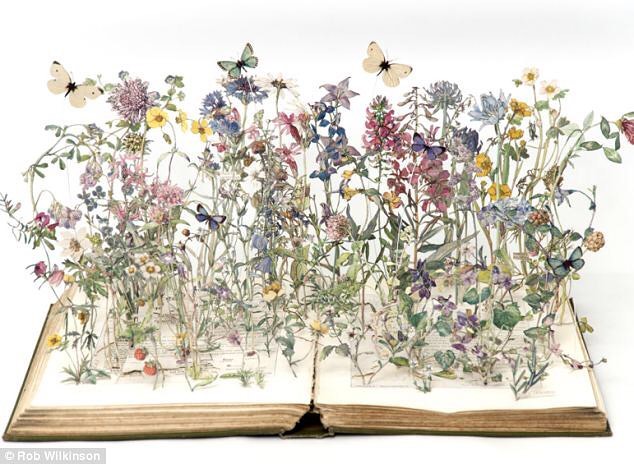 35485123_1039315142873090_5556752550679543808_n 2.jpg